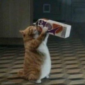 Meet your Posher, Katherine